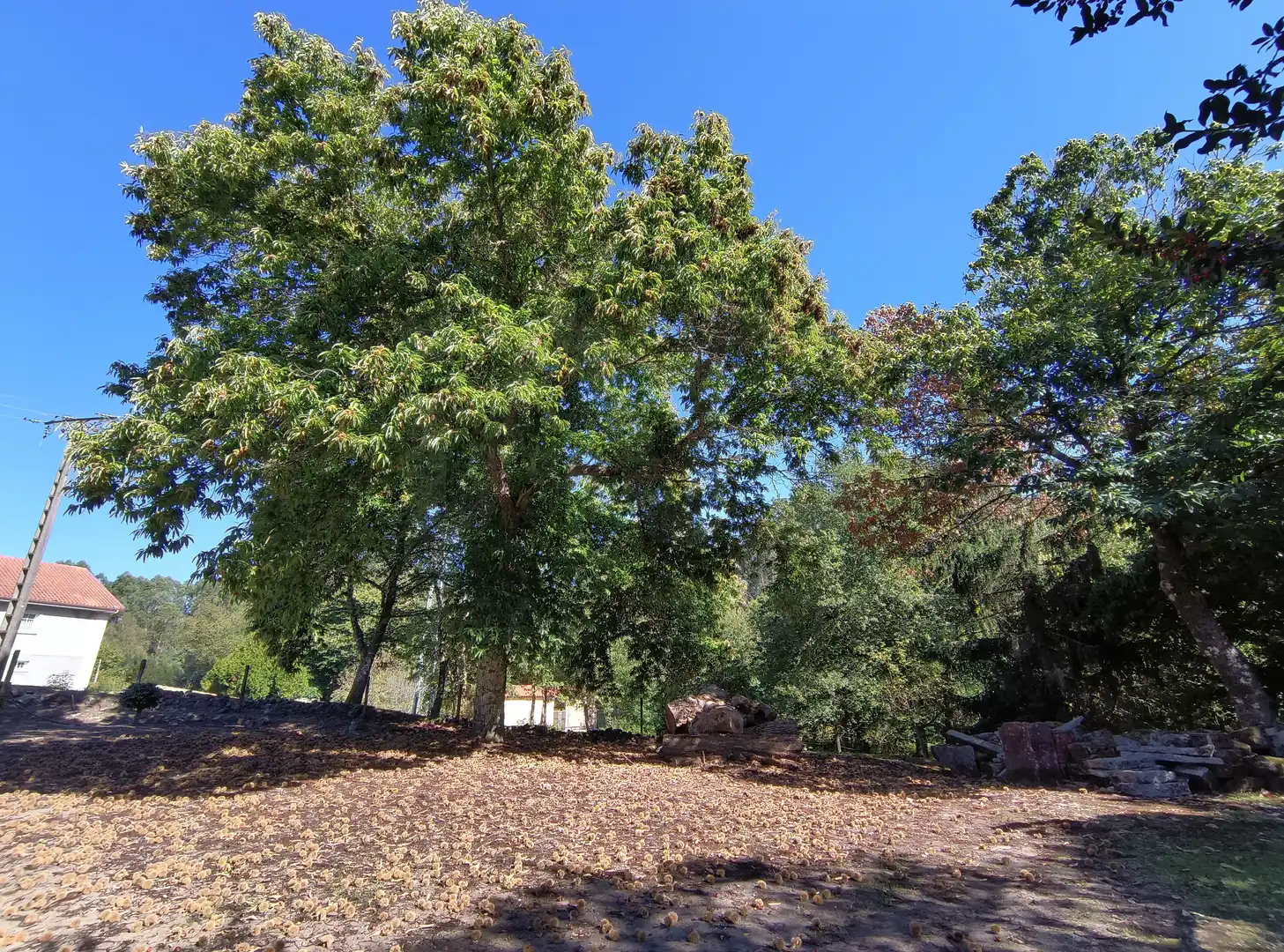 Chalet en venta en Mondariz, imagen 8