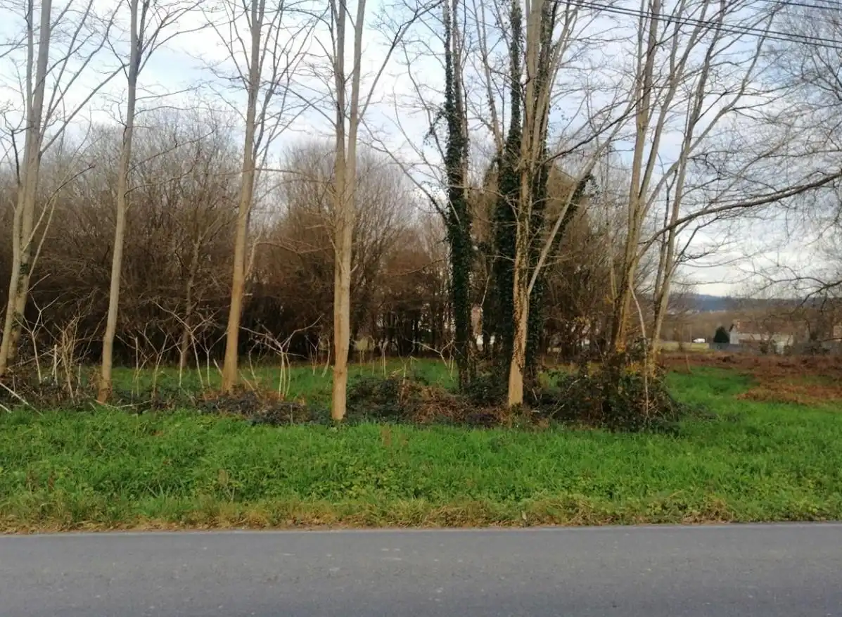 Terrain résidentiel à vendre à Travesía de Fontaldeiro, imagen 14
