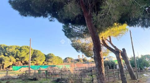 Foto 3 de Finca rústica en venda a Los Franceses – La Vega, Chiclana de la Frontera