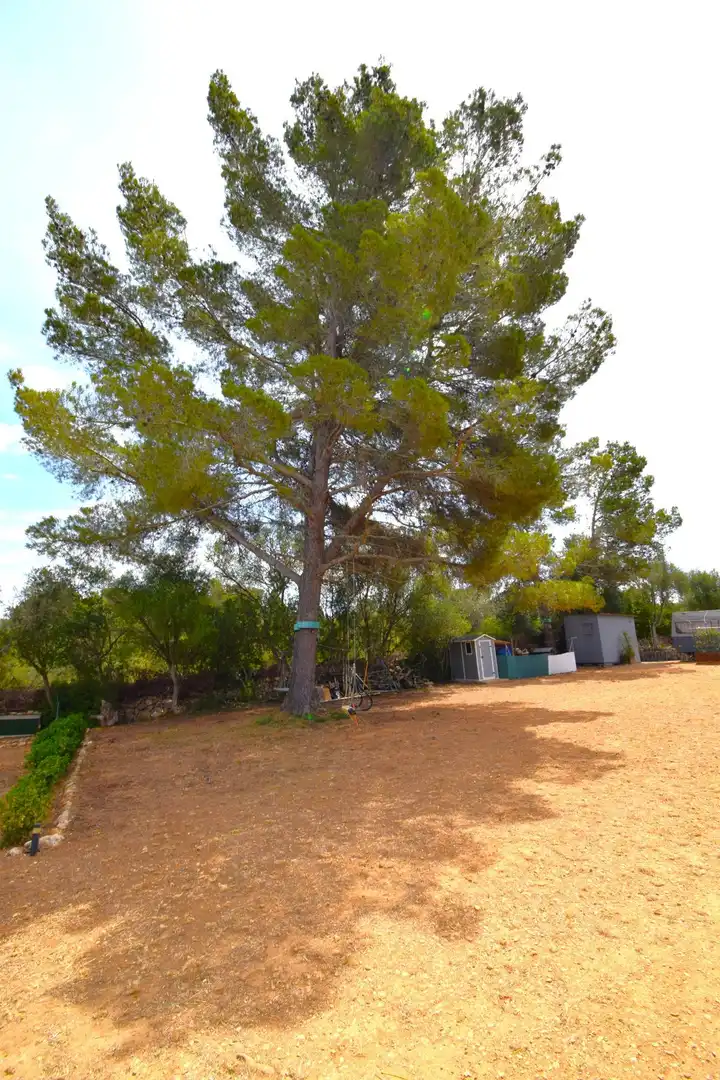 Finca rústica en venda a Petra
