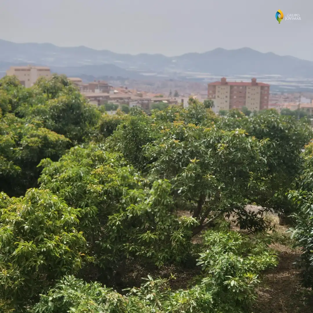 Vista exterior de Terreno en venta en Motril  ciudad