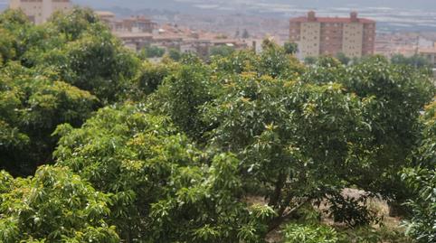 Photo 2 of Residential for sale in Motril  ciudad, Granada