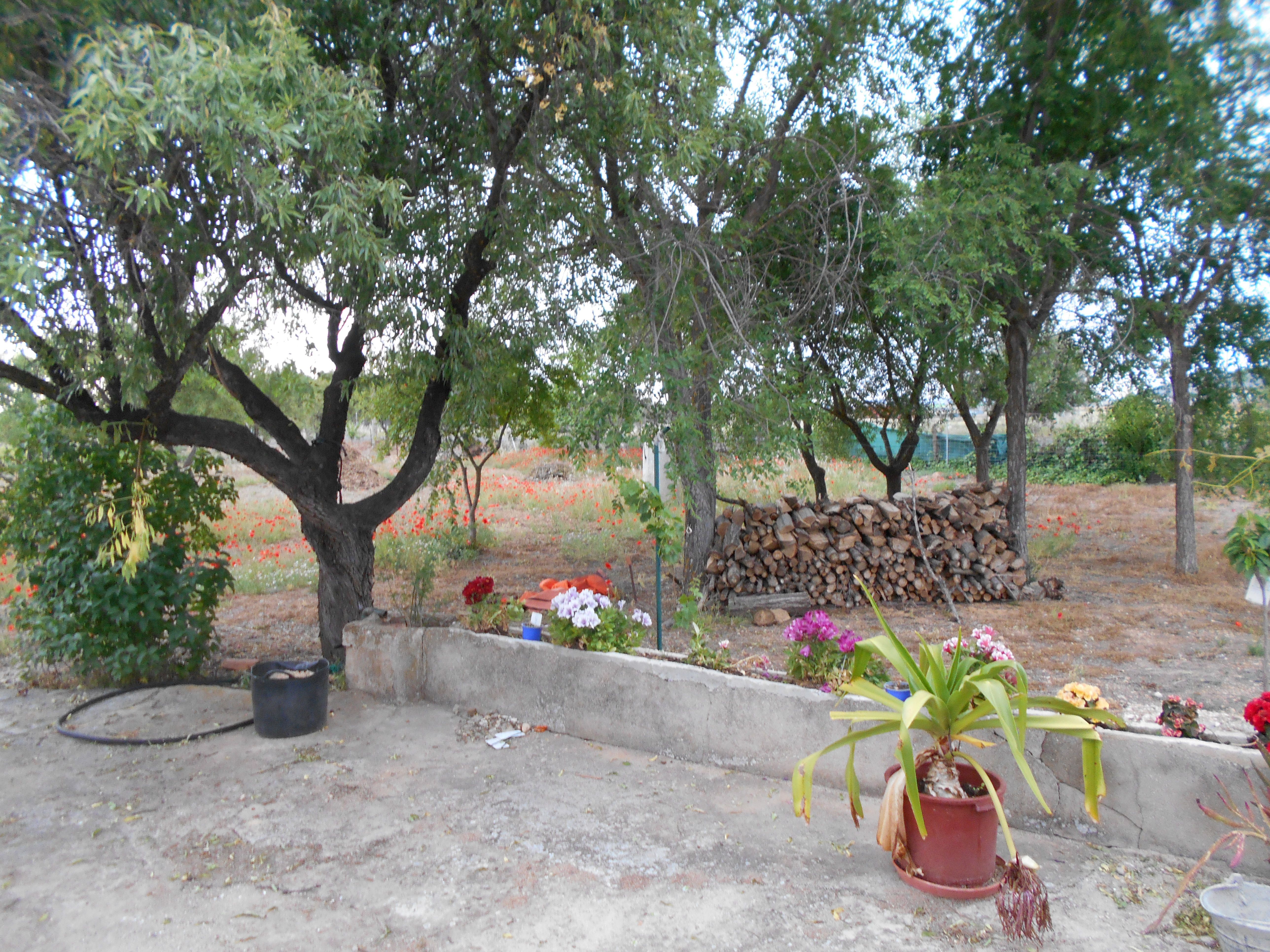 Garden of House or chalet for sale in Puertollano  with Storage room and Swimming Pool