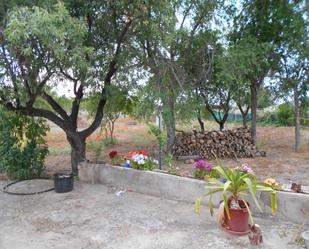 Jardí de Casa o xalet en venda en Puertollano amb Traster i Piscina