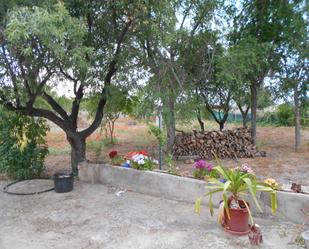 Jardí de Casa o xalet en venda en Puertollano amb Piscina