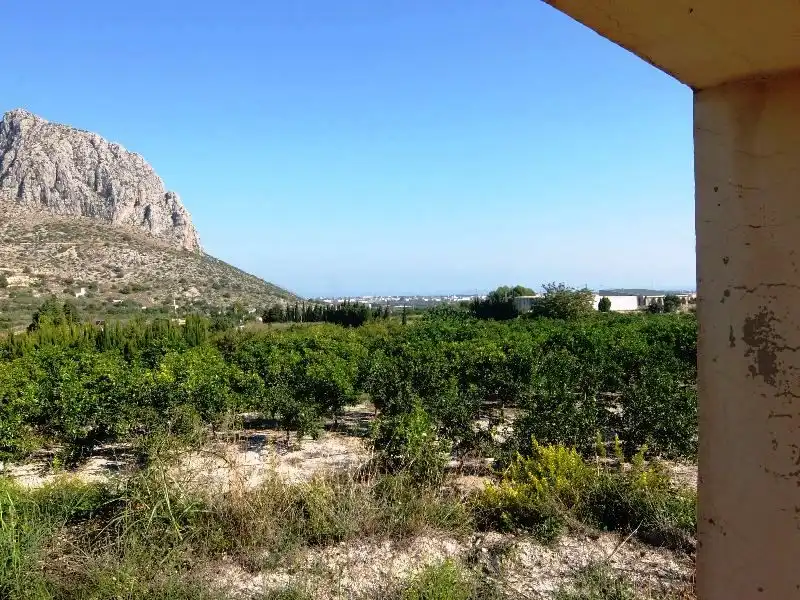 Terreny rústic en venda a Ondara, imagen 4