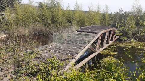 Foto 5 de Finca rústica en venta en Riudarenes, Girona