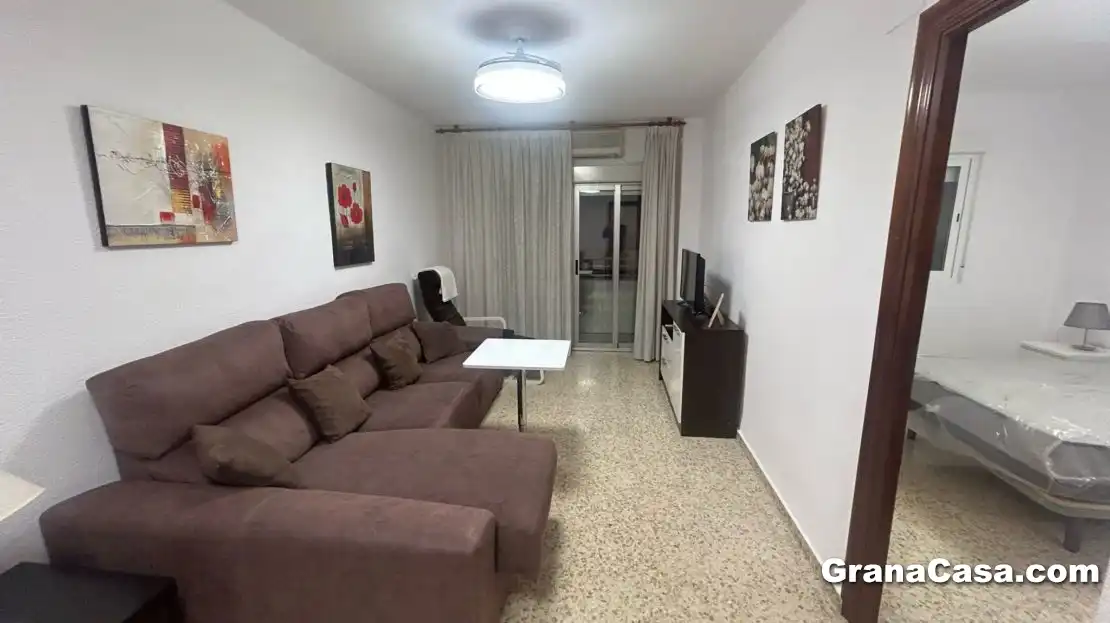 Sala d'estar de Pis de lloguer en Granada amb Aire condicionat, Calefacció i Moblat