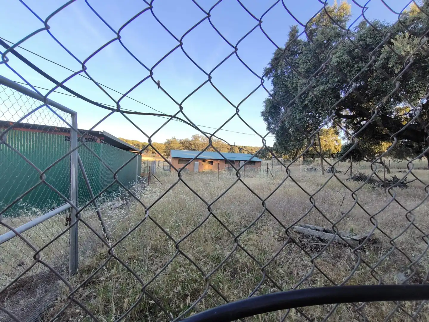 Rural land for sale in Fuente Obejuna, imagen 3