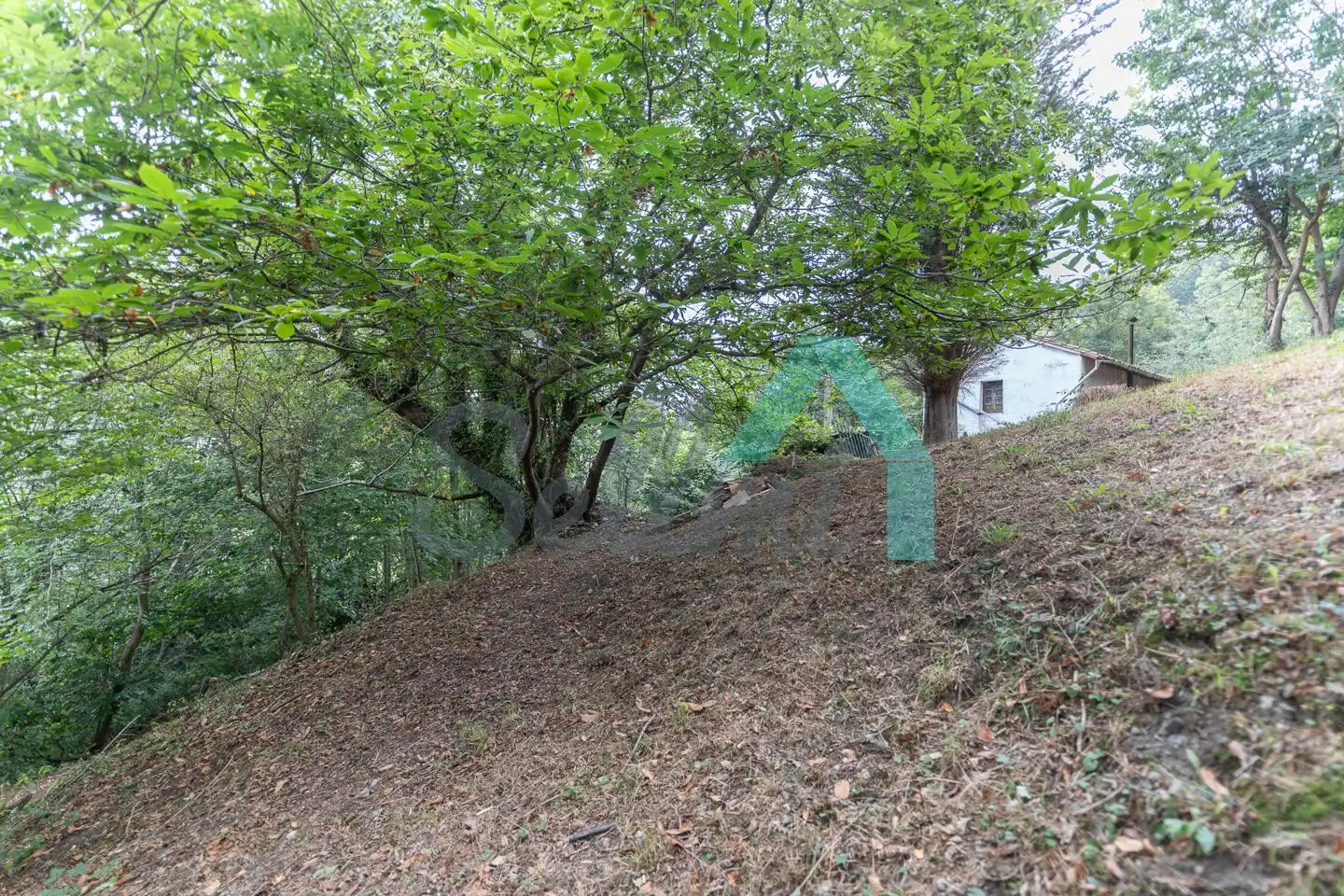 Casa con giardino in vendita a Veguín de Allá, imagen 63