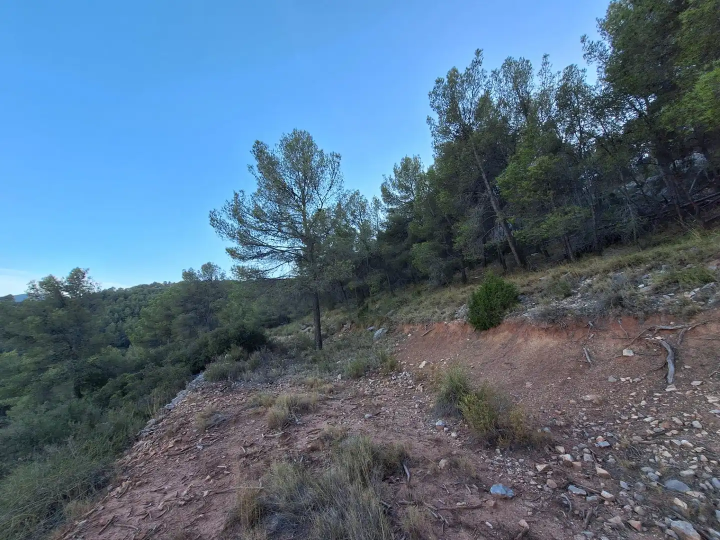 Rural land for sale in Castalla, imagen 4
