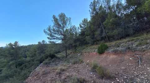 FINCA RÚSTICA FORESTAL EN VENTA CON VISTAS PANORAMICAS  CASTALLA ALICANTE, immagine 4