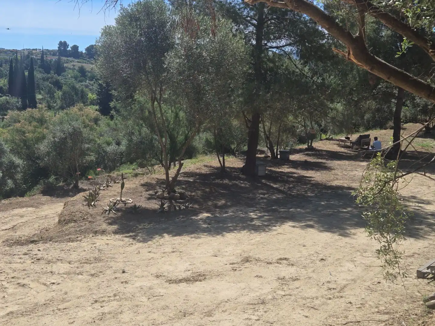 Terreno en venta en El Cigarral - Dehesa - Borrajo