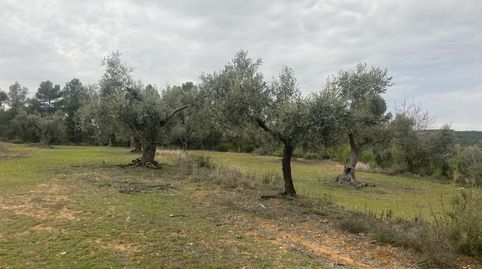 Finca rústica en Valderrobres, immagine 3