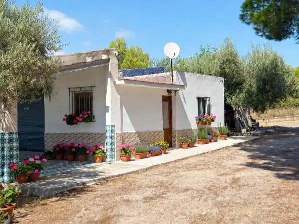 Vista exterior de Casa o xalet en venda en Benicarló amb Aire condicionat, Terrassa i Piscina