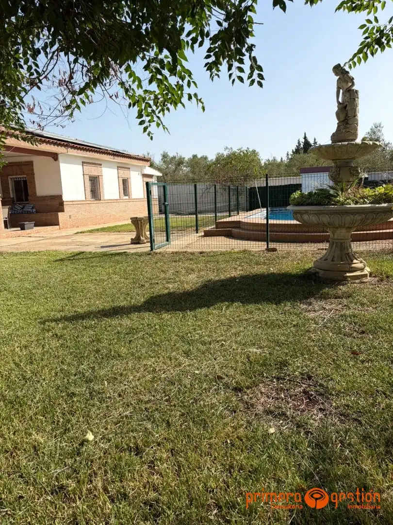 Villa avec piscine à vendre à Carmona, imagen 6
