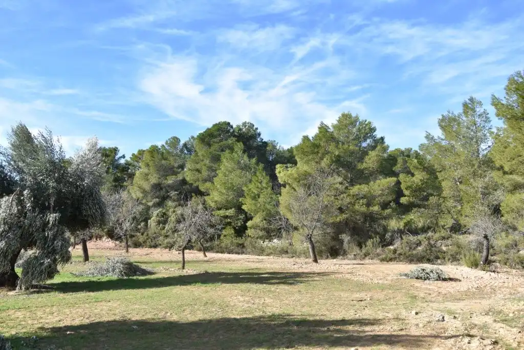 Casa rústica en venda a Mazaleón, imagen 9