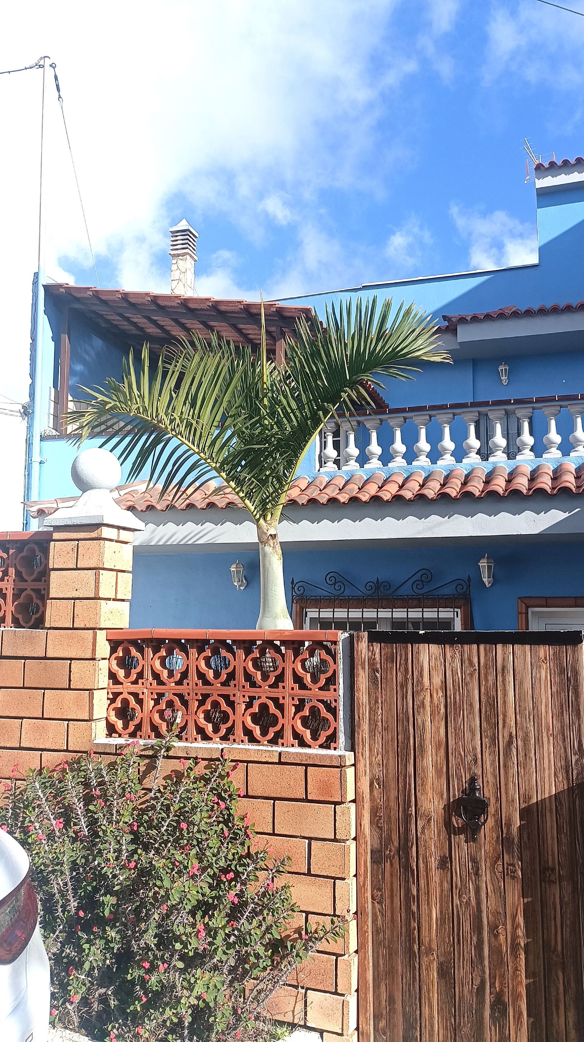 Exterior view of House or chalet for sale in  Santa Cruz de Tenerife Capital  with Terrace