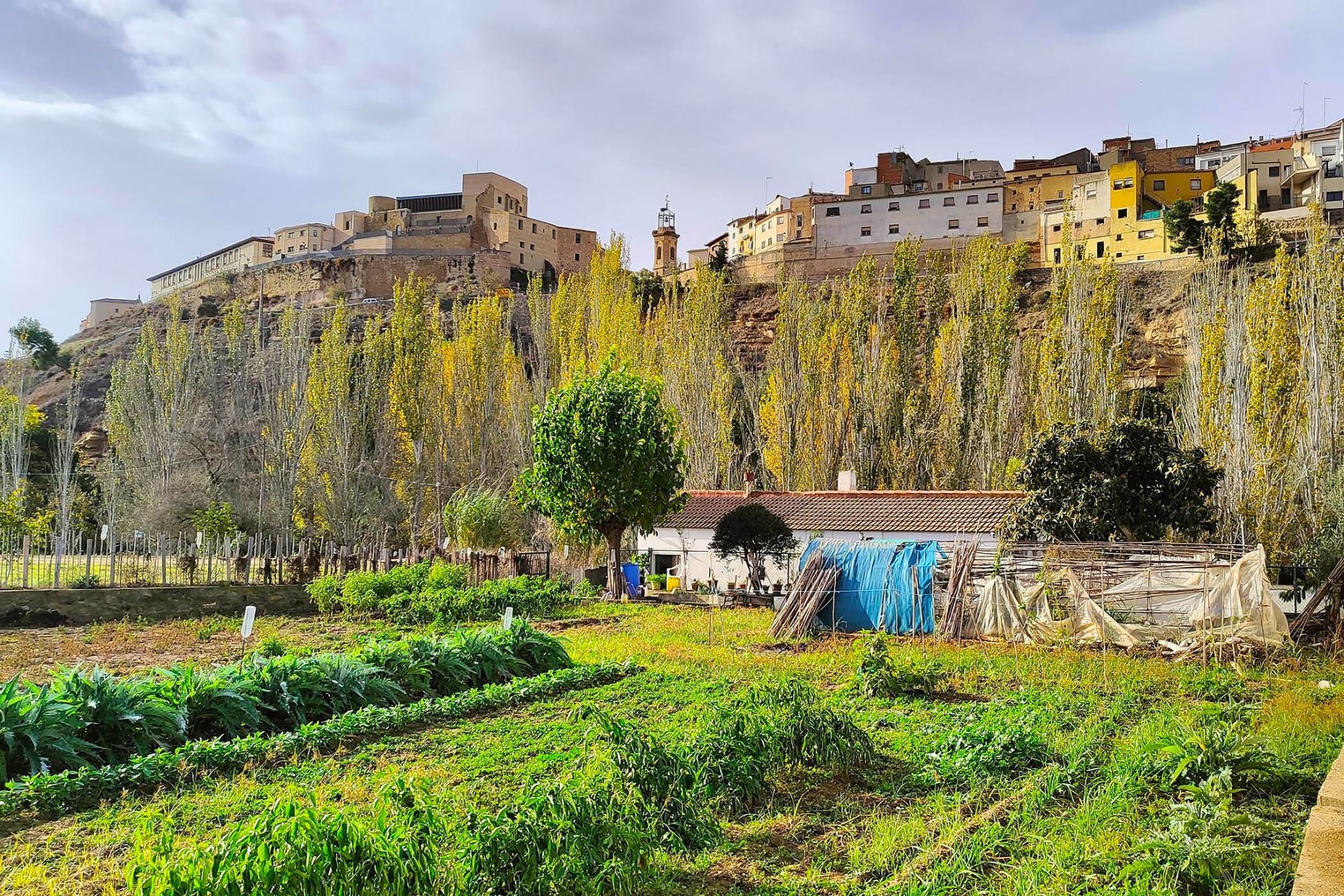 Garden of Land for sale in Caspe