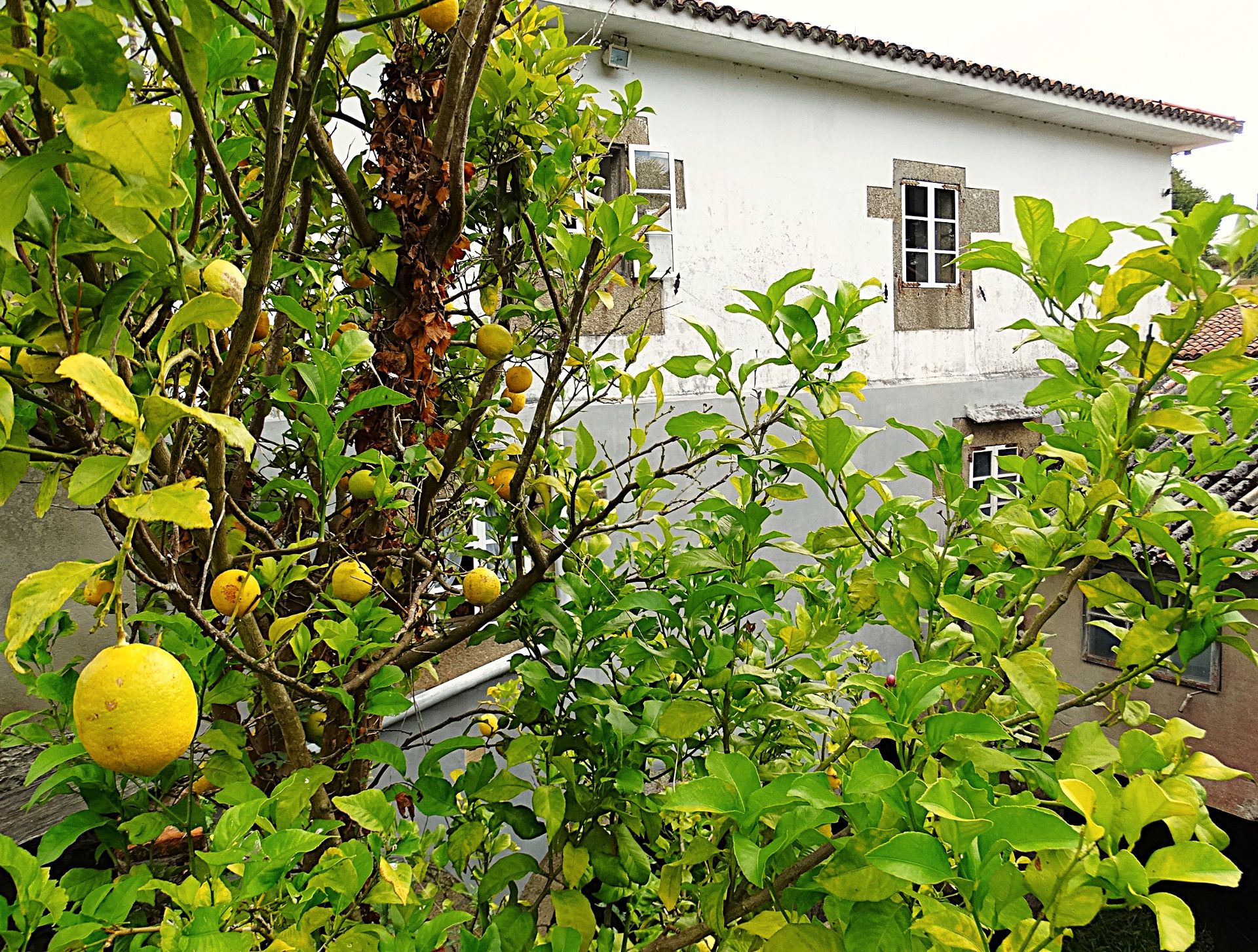 Vista exterior de Finca rústica en venda en Narón amb Calefacció, Jardí privat i Parquet