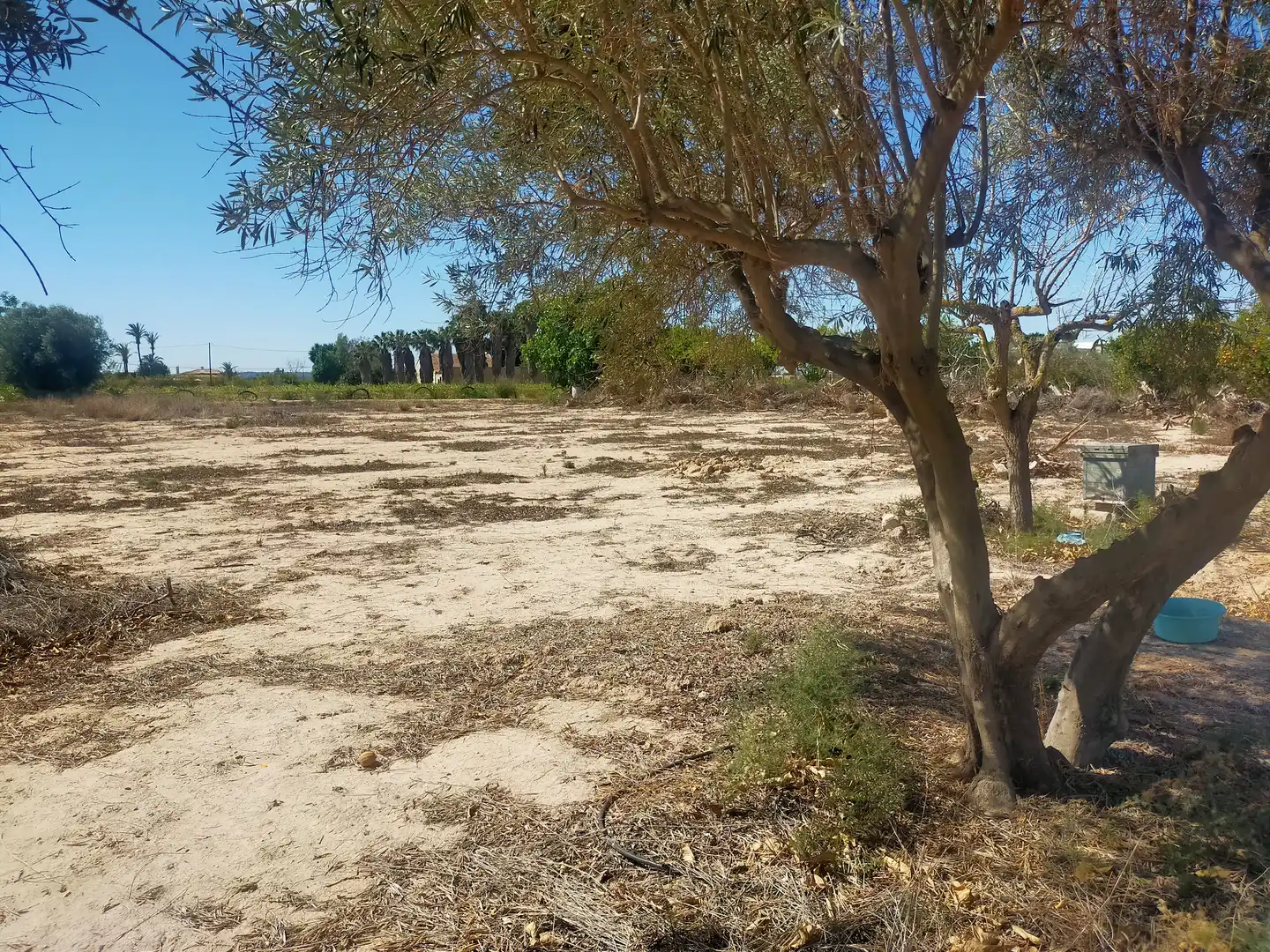 Terrain rustique à vendre à La Foia - Daimés - Asprella, imagen 10