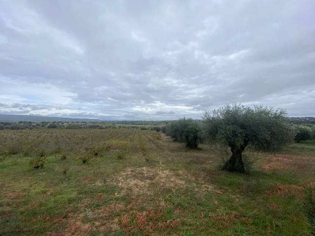 Finca rústica en Venta en Villa del Prado