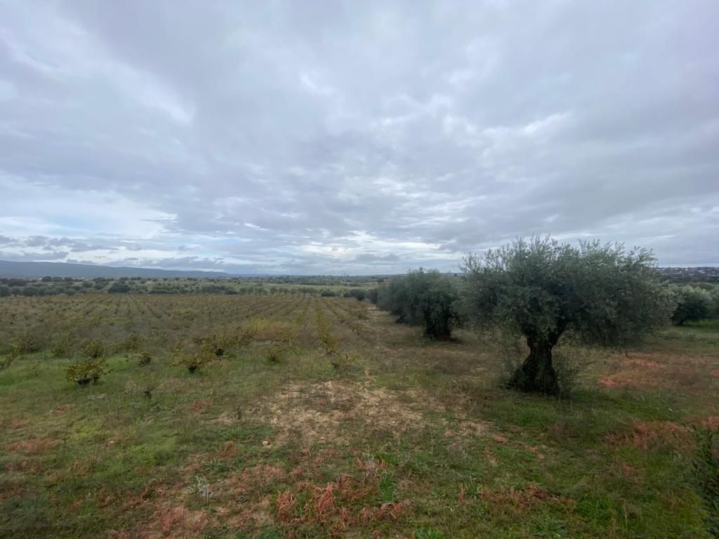 Finca rústica en venta en Villa del Prado