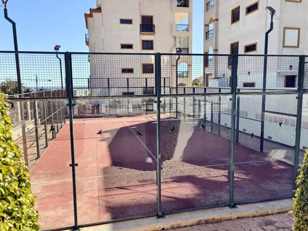 Piscina de Planta baja en venta en Guardamar del Segura con Aire acondicionado, Terraza y Trastero
