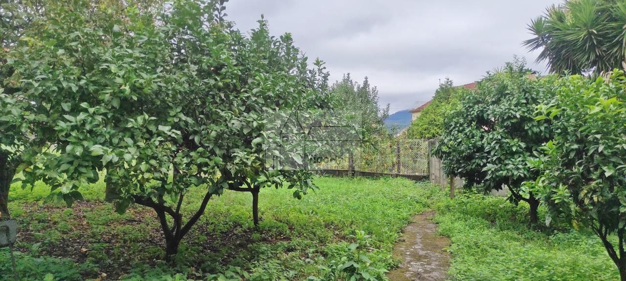 Casa o xalet en venda en Moaña amb Jardí privat, Terrassa i Traster