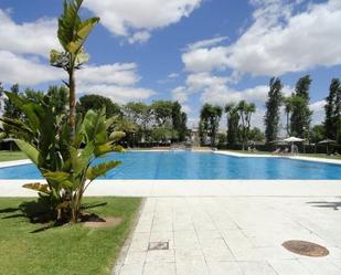 Swimming pool of Flat to rent in Mairena del Aljarafe  with Air Conditioner, Terrace and Furnished