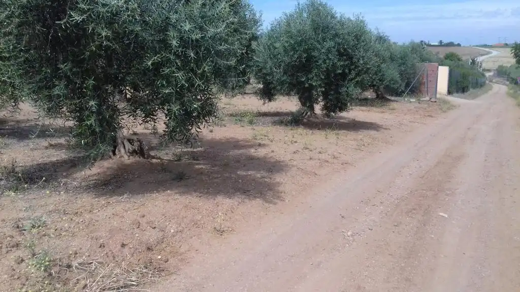 Terrain rustique à vendre à Don Benito, imagen 4