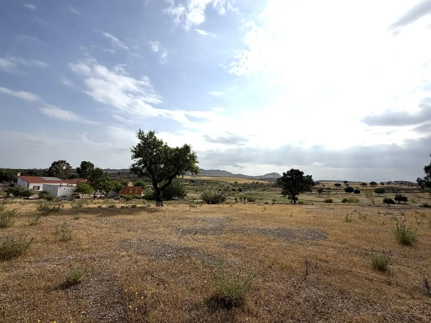 Terrain rustique à vendre à La Haba, imagen 43
