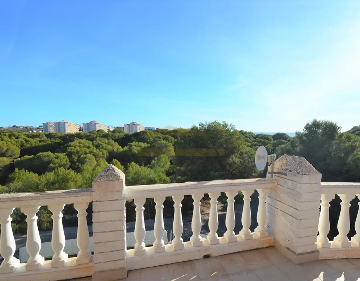 Vista exterior de Casa o xalet en venda en Orihuela amb Jardí privat, Terrassa i Piscina