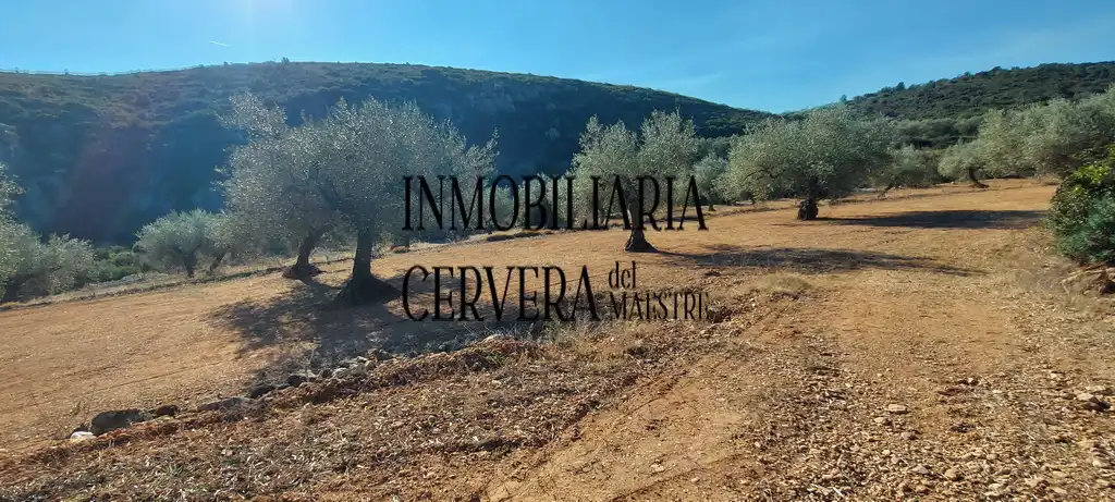 Finca rústica en venda en Cervera del Maestre amb Terrassa