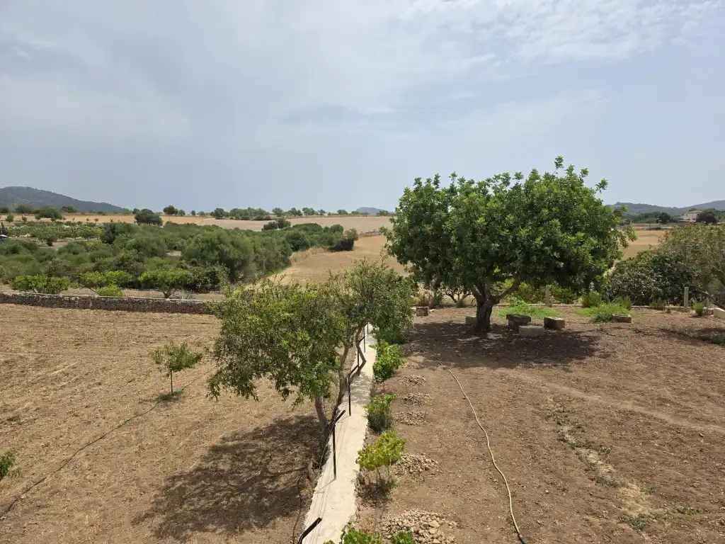 Casa rústica en alquiler en Manacor Centre, imagen 22