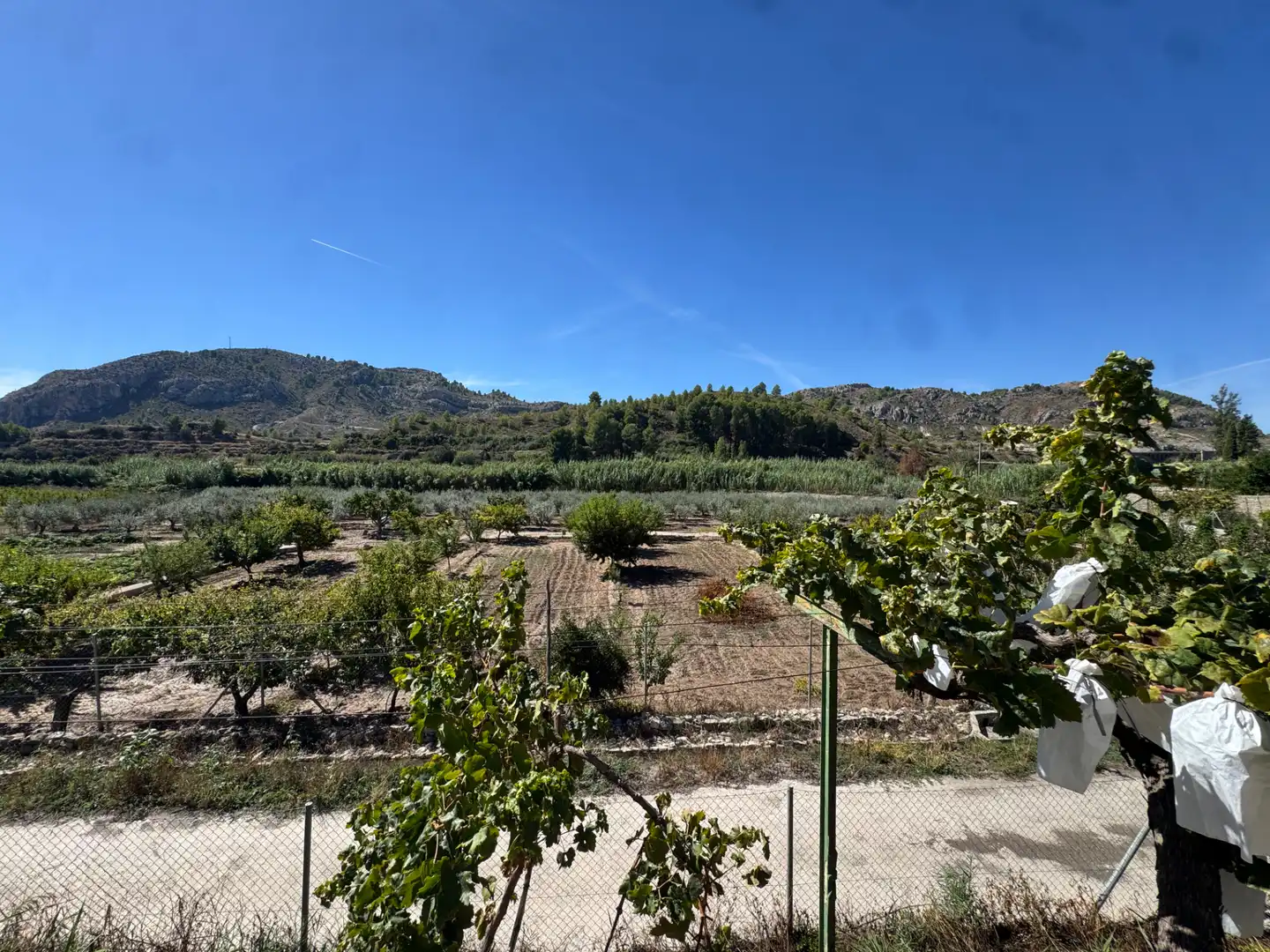 Villa con terrazza in vendita a Carretera de Murcia 13, imagen 20