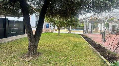 Photo 3 of Houses for sale in Villarrubia, Córdoba Capital