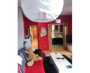 Sala d'estar de Apartament en venda en Ourense Capital  amb Traster, Moblat i Balcó