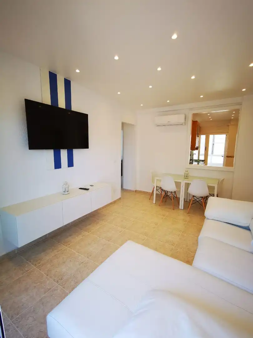 Sala d'estar de Àtic de lloguer en Torrevieja amb Aire condicionat, Calefacció i Terrassa