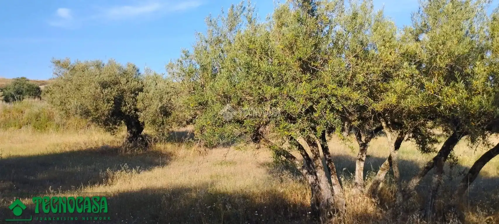 Terreni e lotti in vendita a Méntrida, imagen 13
