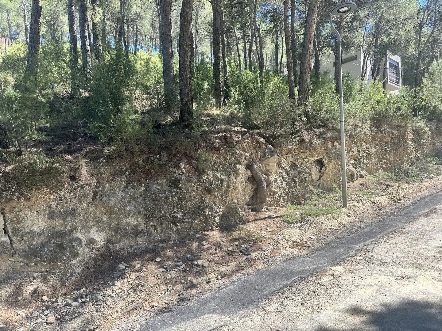 Wohnbaugrundstück zum Verkauf in Torres Torres, imagen 18