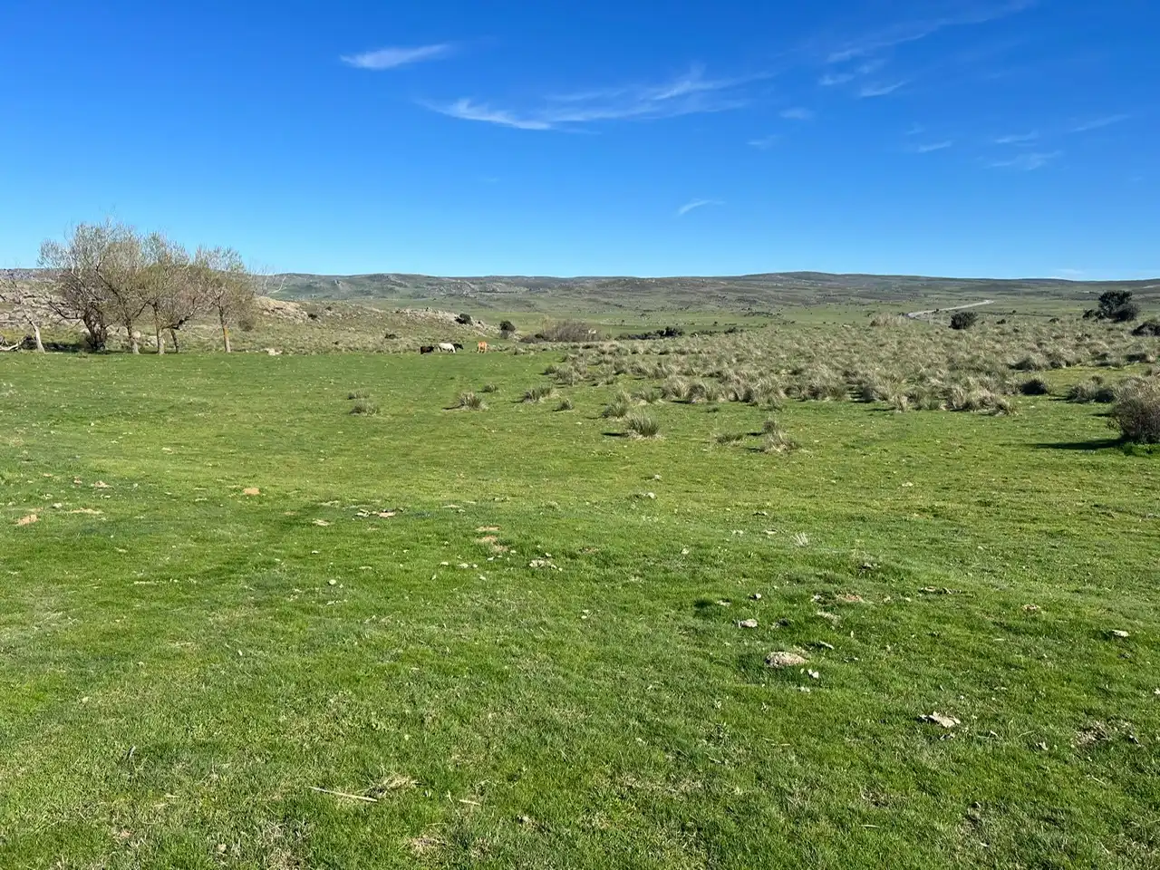 Terreni e lotti in vendita a Tornadizos de Ávila, imagen 7