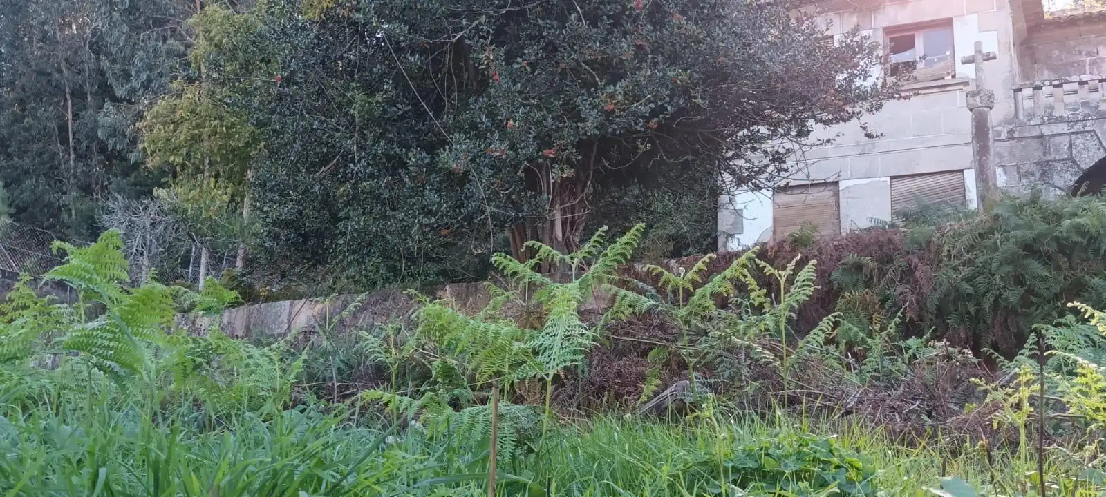 Maison à vendre à Avenida Avenida de Mendiño, 25, imagen 12