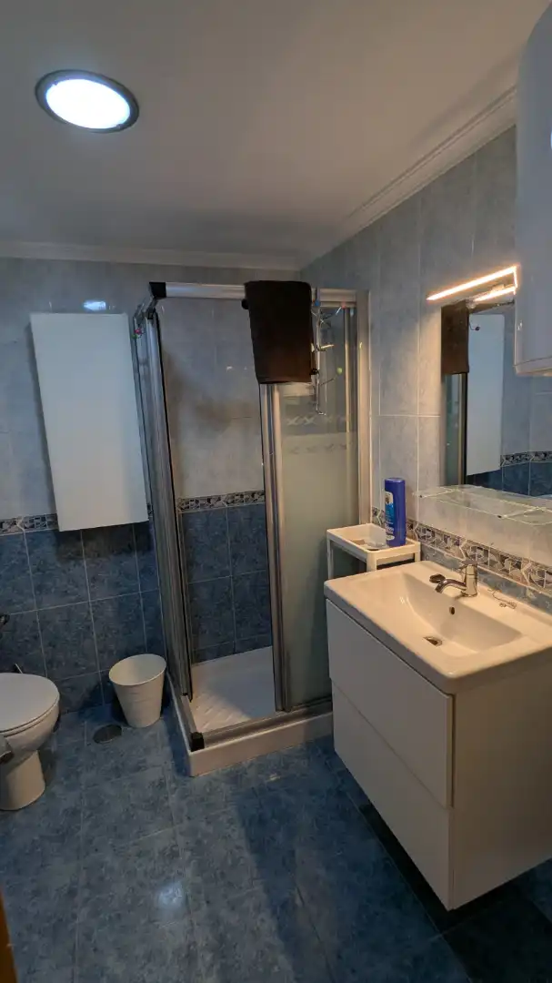 Baño de Piso de alquiler en Sevilla con Aire acondicionado y Amueblado