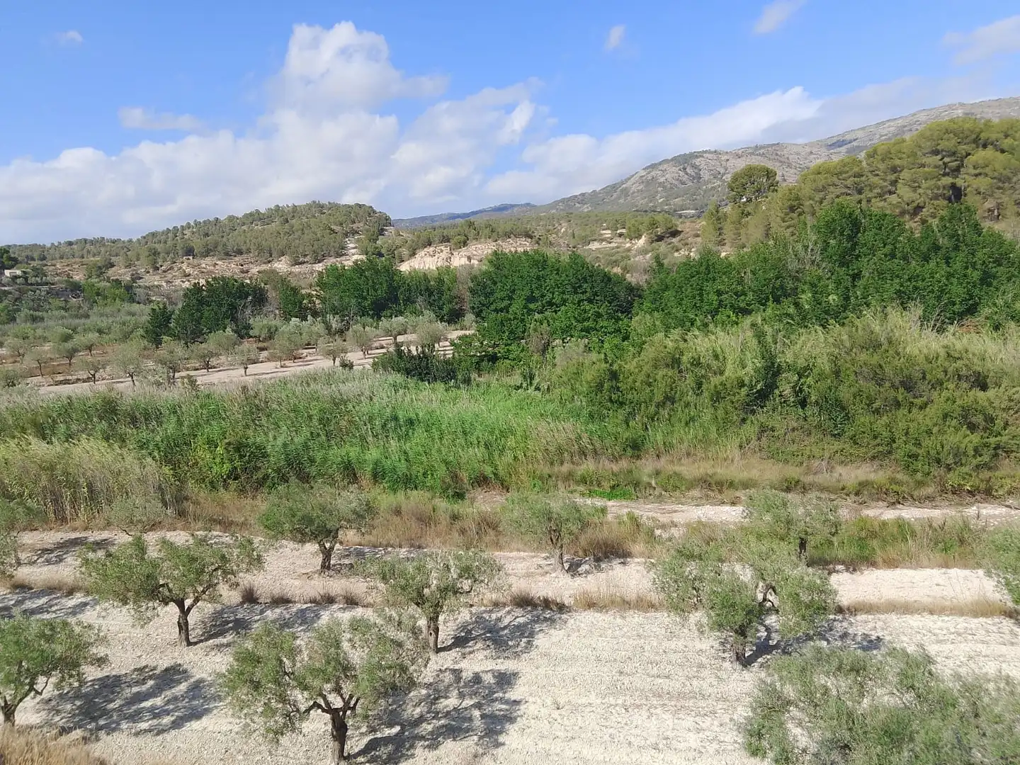 Terreno rustico in vendita a N/A, imagen 133