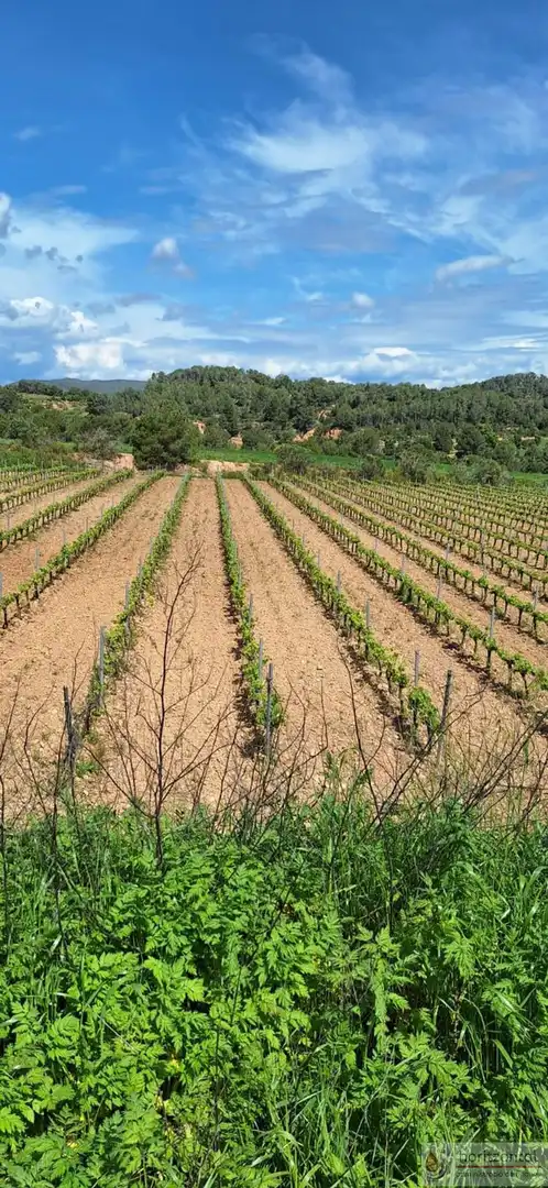 Terrenys i solars en venda a Sant Quintí de Mediona, imagen 15
