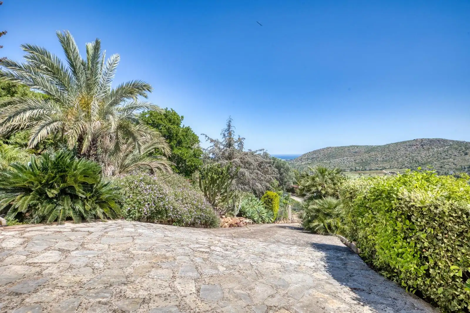 Villa mit Pool zum Verkauf in Centro, imagen 10
