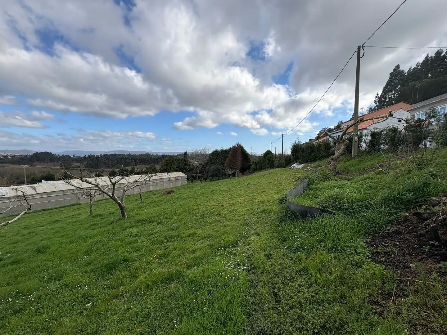 Rural land for sale in DP-3602