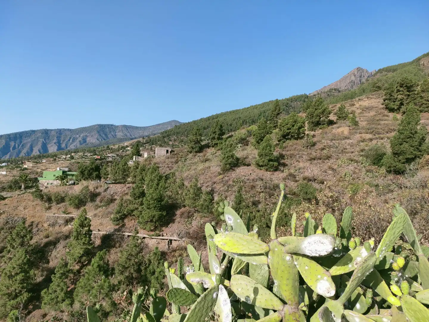 Rural land for sale in Arafo, imagen 3