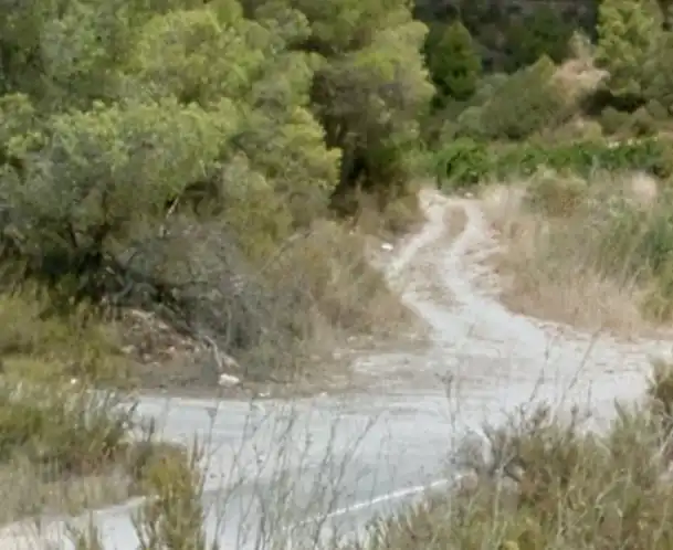 Rural land for sale in Pb Segrasos, imagen 7